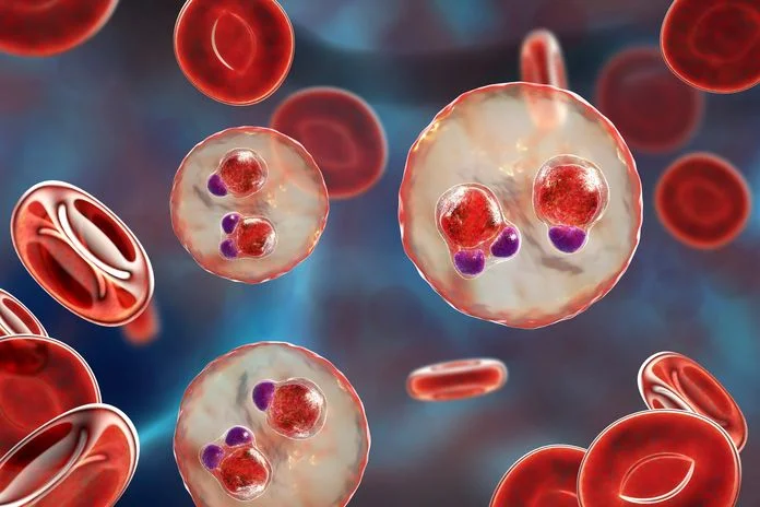 30 Years of R&D Towards New Drugs for Tropical Diseases